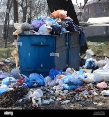 Best Yard Waste Removal  in South Hutchinson, KS