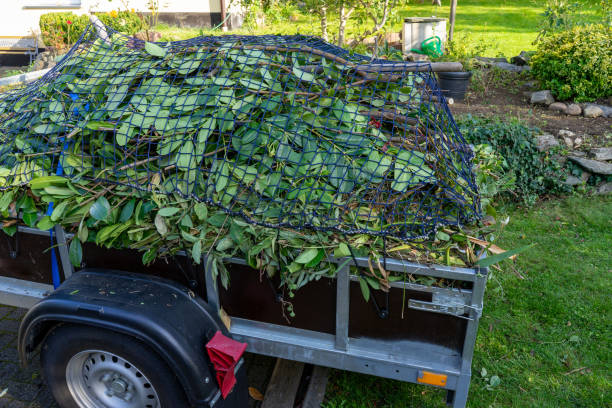 Best Moving and Downsizing Cleanouts  in South Hutchinson, KS